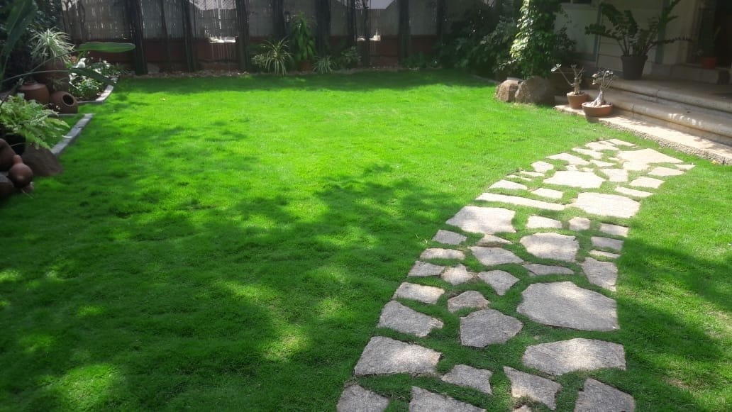 Residential Back Yard Mexican Lawn Mat Installation Bangalore
